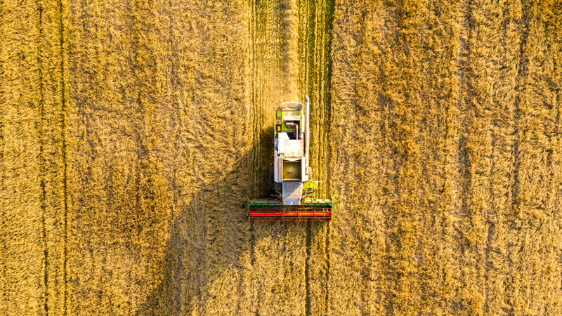 Récolte Céréales