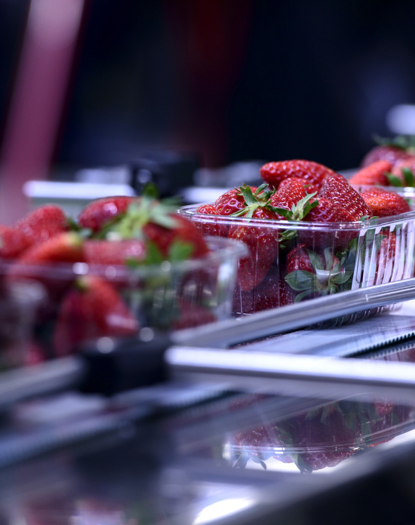 Agro Fraise Agro Fraise